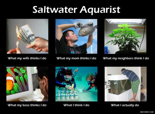 saltwateraquarist