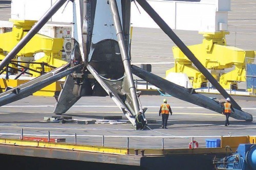 falcon0001.jpg