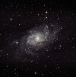 M33