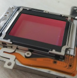 270835243_461499128955860_5306502358956498380_n