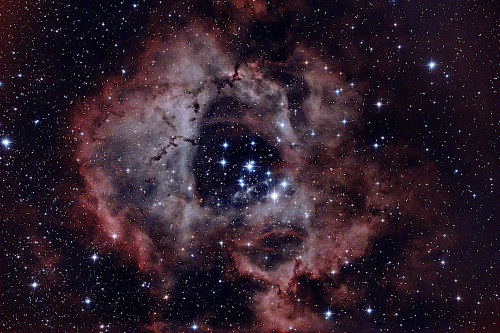ngc2238_DSLRgimp.jpg