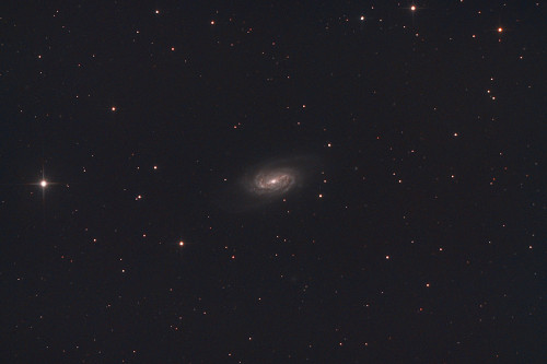 NGC2963_DSLR.jpg