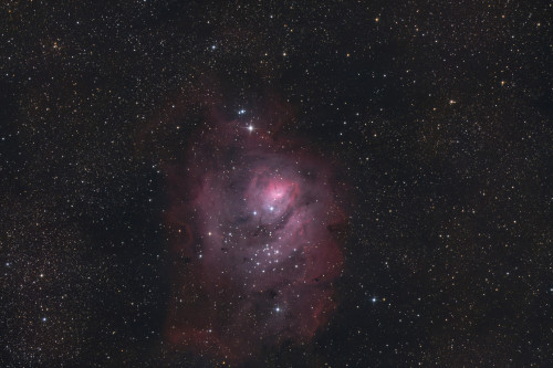 m8sanshisto-DeNoiseAI-low-light.jpg